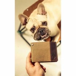 DamnDog Wallet: Billfold Wallets