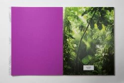 Laurence King Matthew Williamson: Fashion, Print & Coloring Book, Paperback Extras