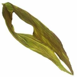 Nellie Rose Textiles Nellie Rose Silk Scarf: Petal S, Green Extras