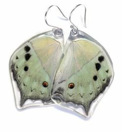 Petal Connection Earrings: Butterfly Wing Jewelry