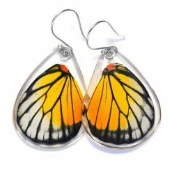 Petal Connection Earrings: Butterfly Wing Jewelry