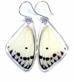 Petal Connection Earrings: Butterfly Wing Jewelry