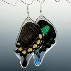 Petal Connection Earrings: Butterfly Wing Jewelry