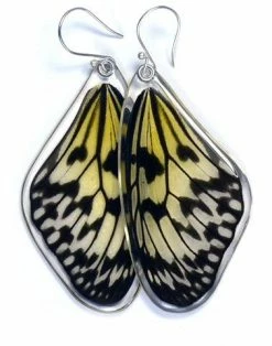 Petal Connection Earrings: Butterfly Wing Jewelry
