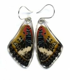 Petal Connection Earrings: Butterfly Wing Jewelry