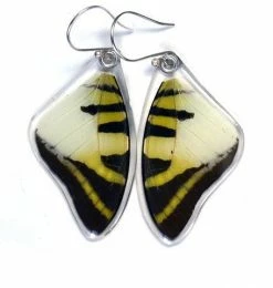 Petal Connection Earrings: Butterfly Wing Jewelry