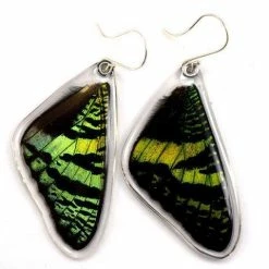 Petal Connection Earrings: Butterfly Wing Jewelry