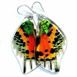 Petal Connection Earrings: Butterfly Wing Jewelry