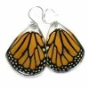 Petal Connection Earrings: Butterfly Wing Jewelry 1 Petal Connection Earrings: Butterfly Wing Jewelry