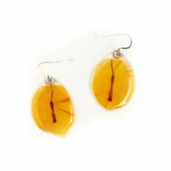 Jewelry Petal Connection Earrings: Flowers