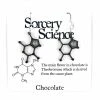 Jewelry Sorcery Science Earrings: Chocolate