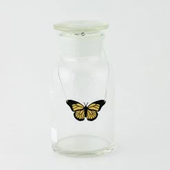 Sorcery Science Necklace: Monarch Butterfly Jewelry