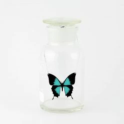 Sorcery Science Necklace: Ulysses Butterfly