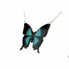 Sorcery Science Necklace: Ulysses Butterfly 2 Sorcery Science Necklace: Ulysses Butterfly