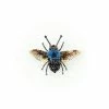 Trovelore Brooch: Blue Carpenter Bee