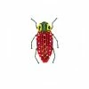 Trovelore Brooch: False Eye Jewel Beetle Jewelry 2 Trovelore Brooch: False Eye Jewel Beetle Jewelry