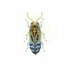 Jewelry Trovelore Brooch: Florentinus Beetle