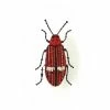 Trovelore Brooch: Red Opulenta Beetle Jewelry