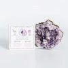 Extras Warm Human: MANIFEST THE MAGIC + POWER OF YOUR CRYSTAL 2 Extras Warm Human: MANIFEST THE MAGIC + POWER OF YOUR CRYSTAL