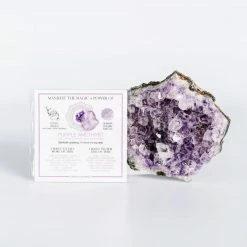 Extras Warm Human: MANIFEST THE MAGIC + POWER OF YOUR CRYSTAL