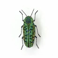 Trovelore Brooch: Lamprodila Beetle